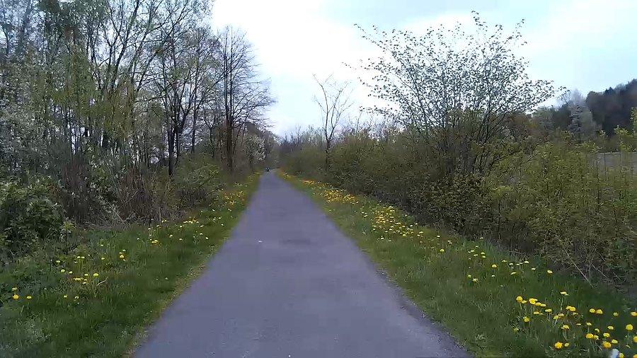 Na zdjęciu tego nie widać, ale w powietrzu unosiły się tysiące muszek