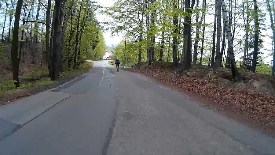Zjazd na leśnej