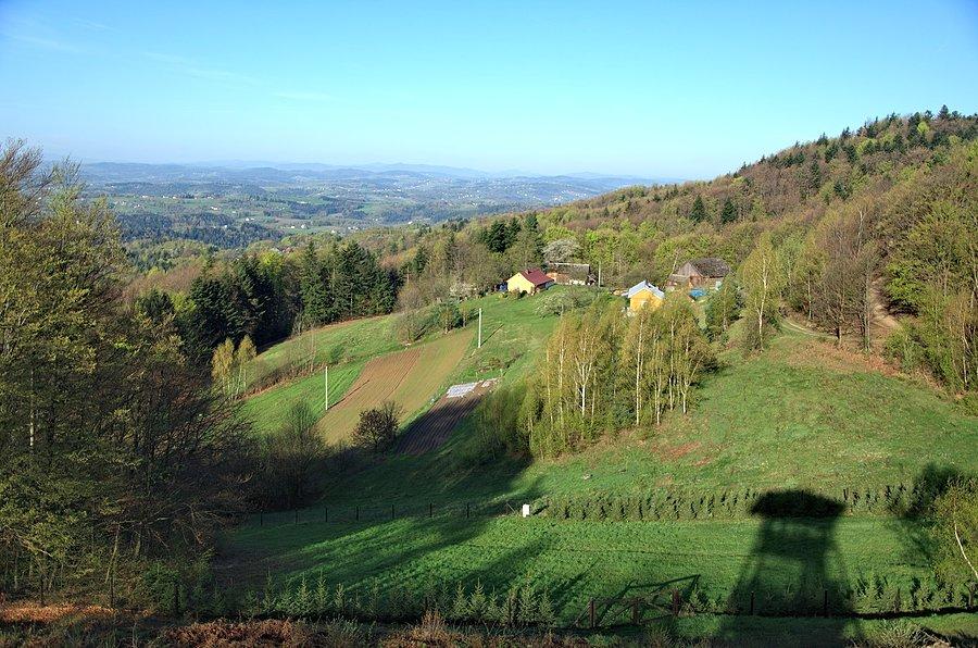 Widok z wieży na Brzance