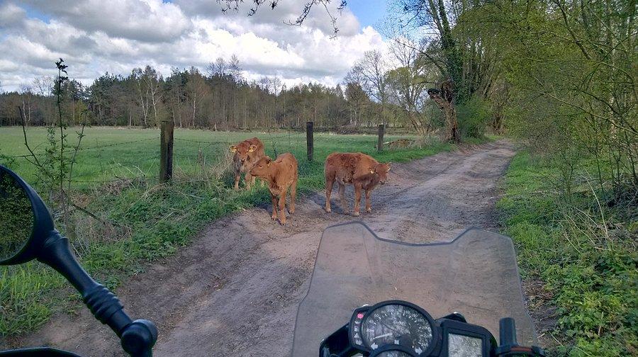 Bliskie spotkania trzeciego stopnia