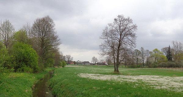 Janówka