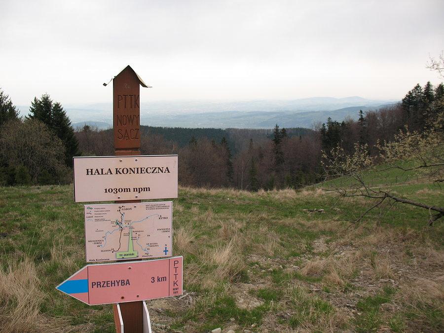 Hala Konieczna