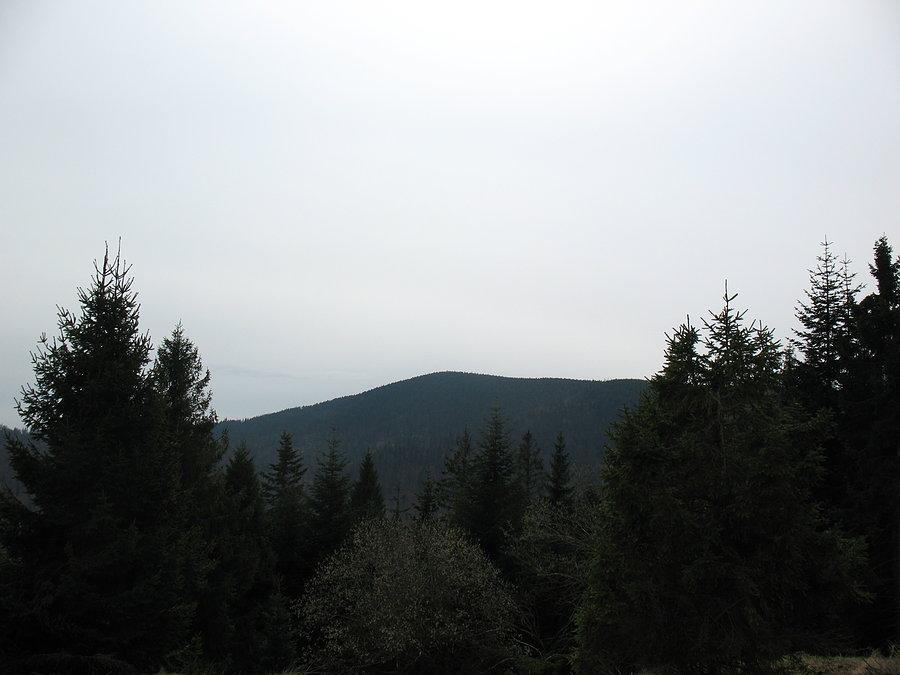 Radziejowa (1266 m.n.p.m)
