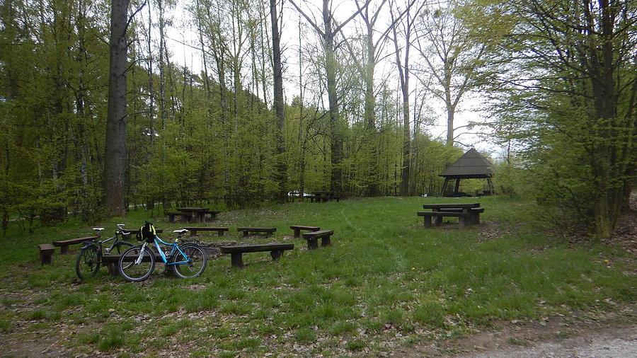 Nasze rowerki nad jeziorem Chomęcickim