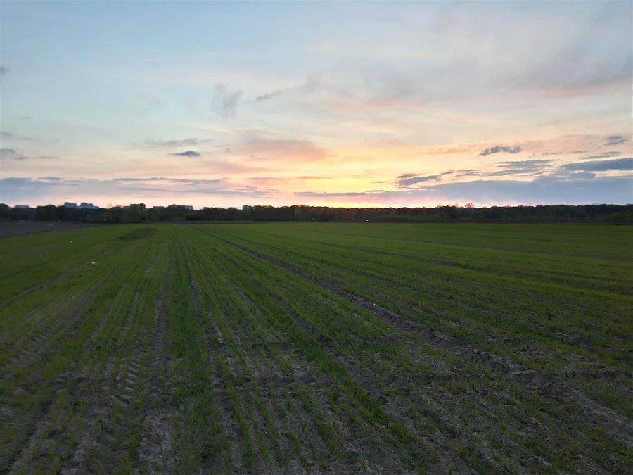 Zachodzące słońce nad Lasem Kabackim HDR