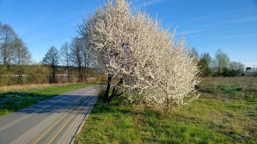 W końcu i na Mazury doszła wiosna