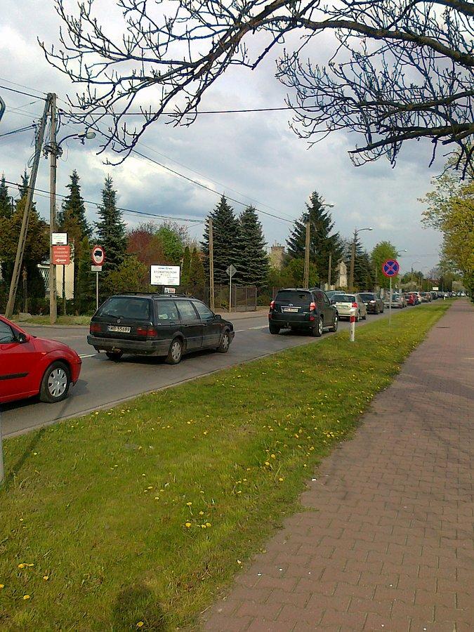 I co dziwnego, że uciekam do lasu