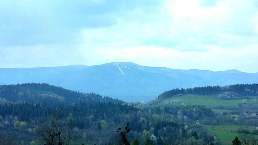 Javorowy Vrch
