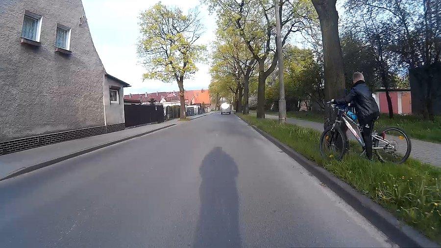 Chyba chce przejechać na drugą stronę