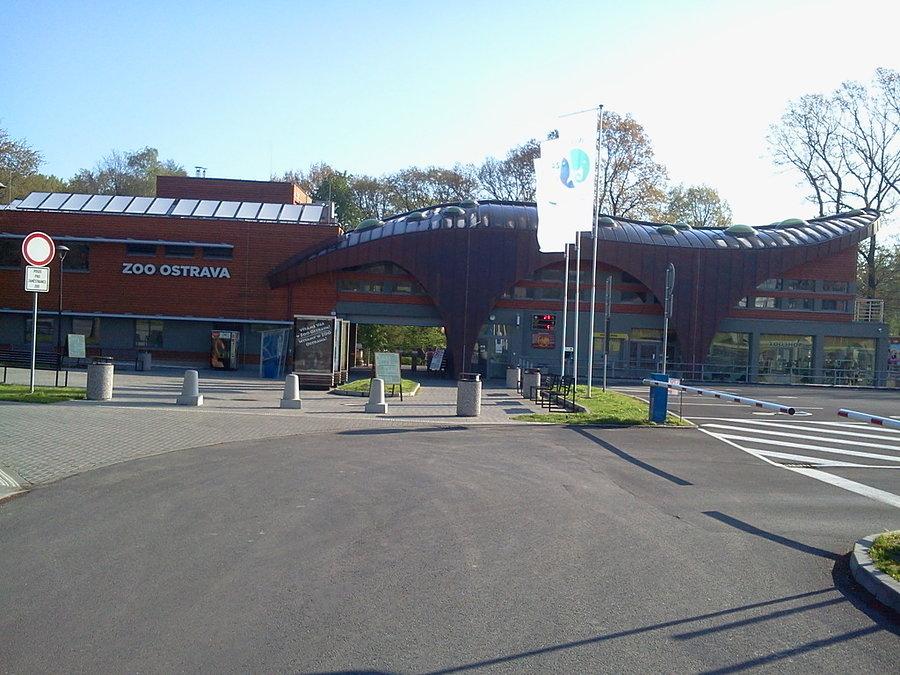 ZOO w Ostrawie