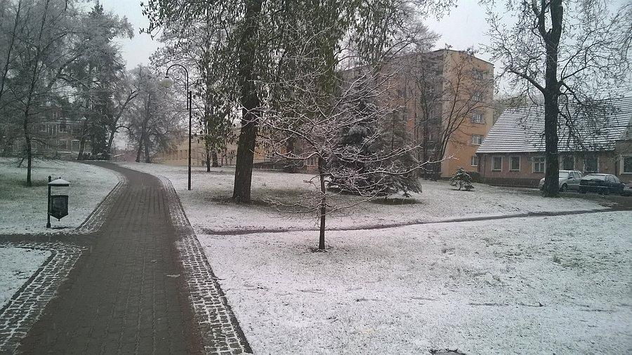 Jak by ktoś nie wiedział, to jest 26 kwiecień