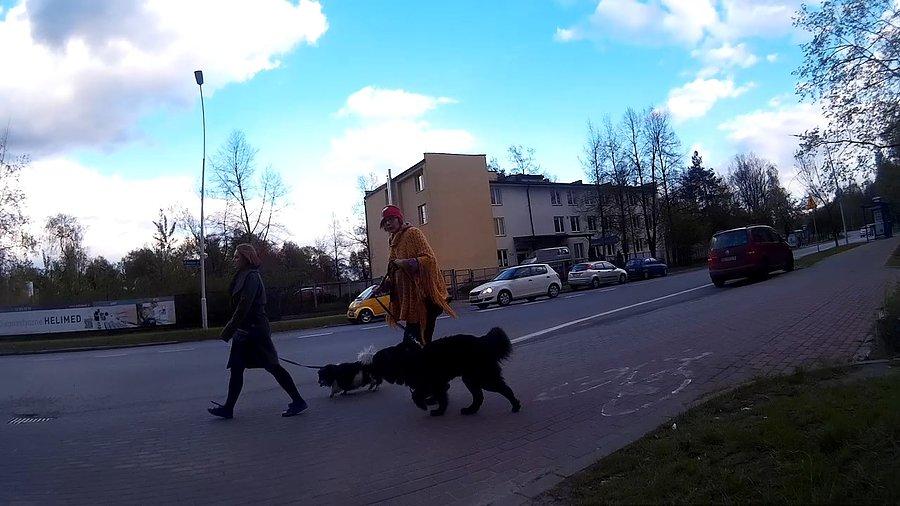 Spacer poi DDRce