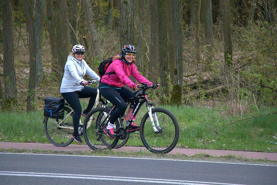 Ela realizuje trudne zadanie. pilnowanie ogona kolumny :)