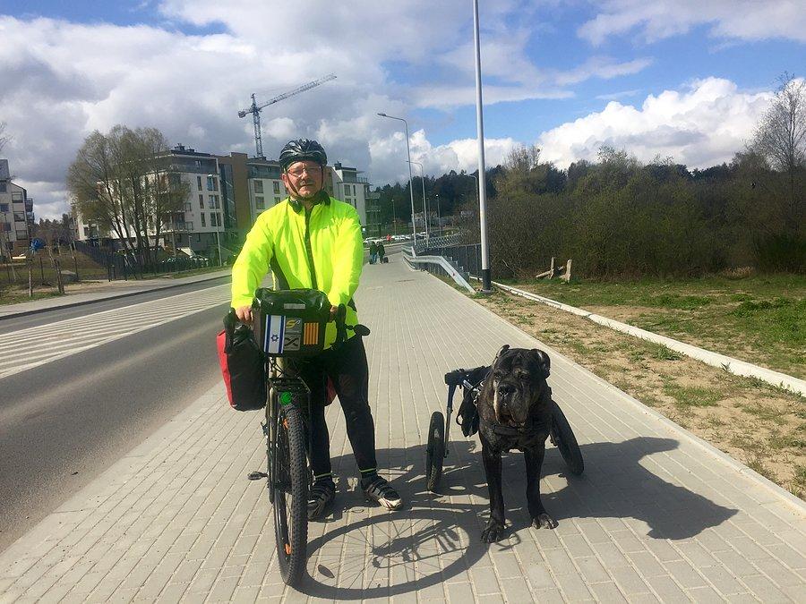 Pies paralityk wersja rowerowa