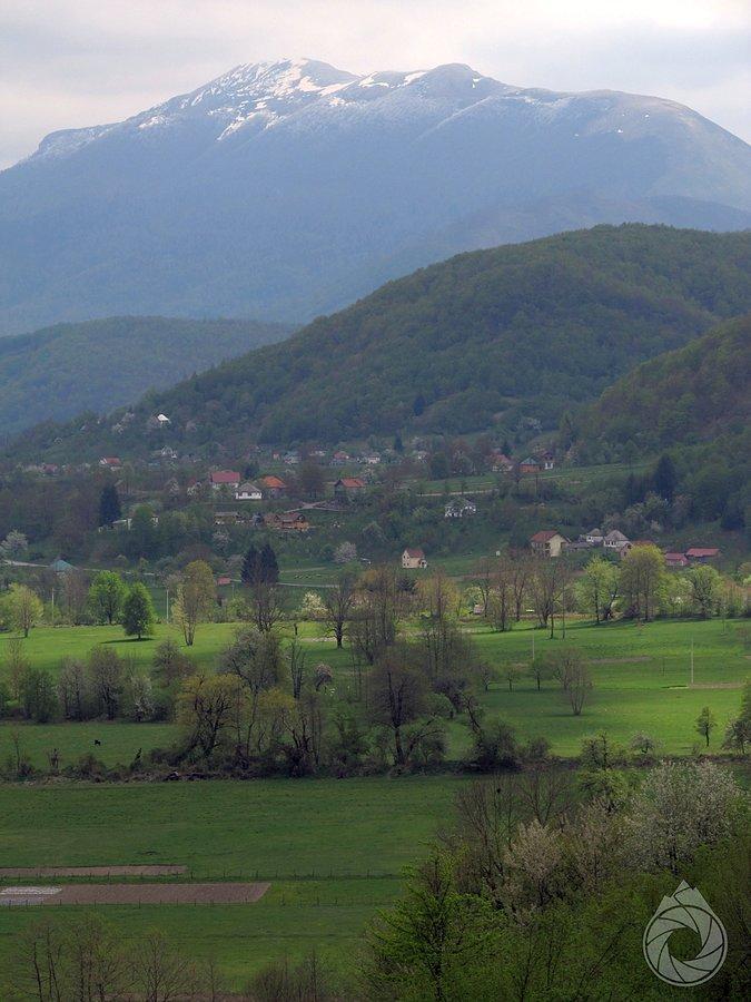 Biogradska w tyle
