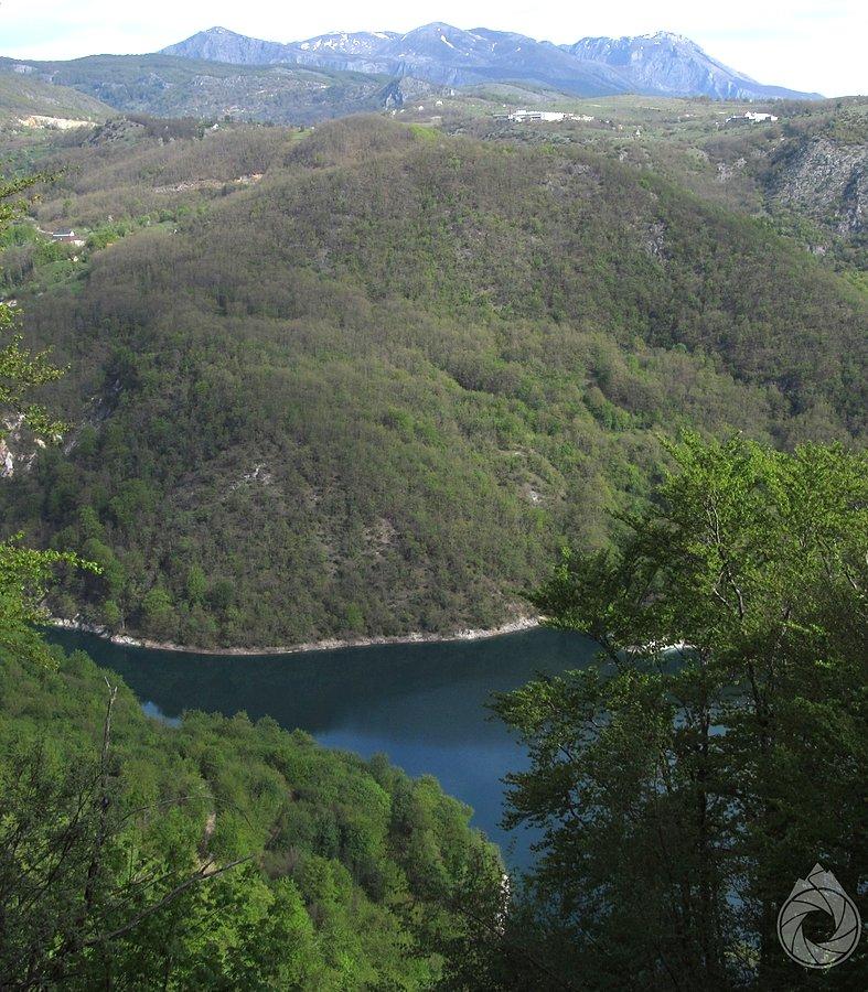Pivsko z rana