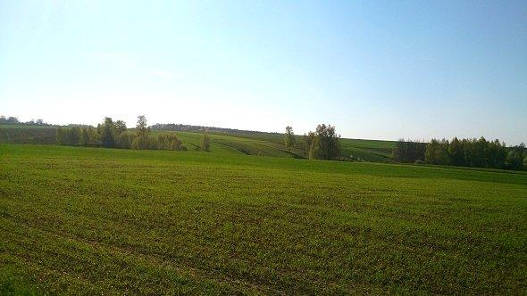 Pola w Wierciszowie