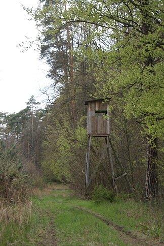 Ambona nr.1