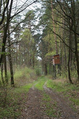 Ambona nr.2