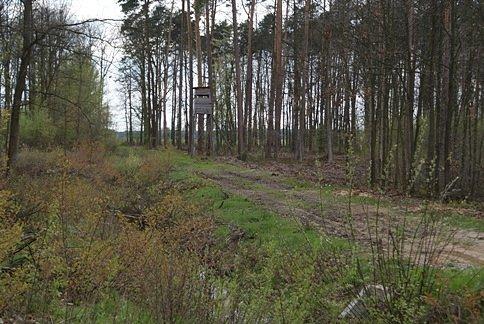Ambona nr.3