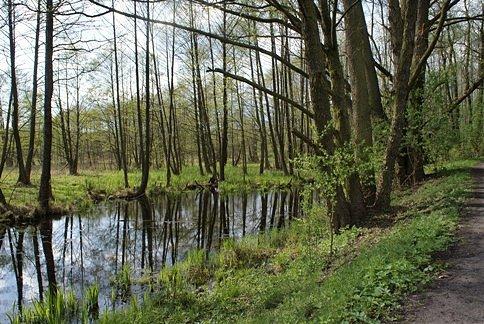 Teren Rezerwatu Niebeiskie Źródła