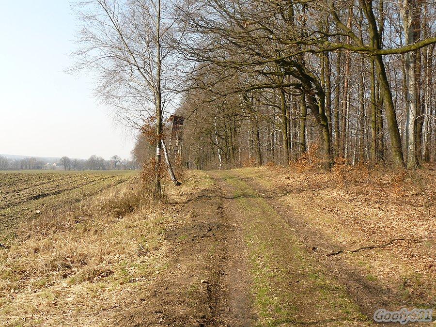 Trawers południowym zboczem :)