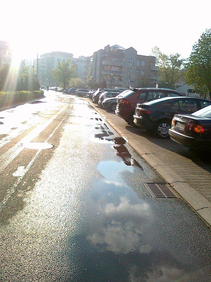 Poranek po deszczu