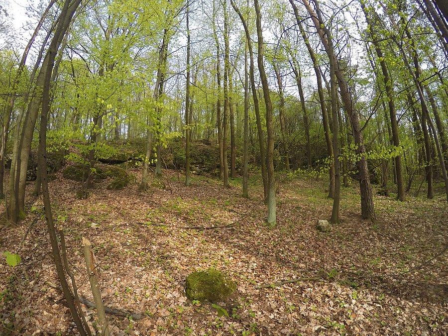 Fisheye - wzgórza srockie