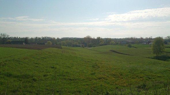 Pola w Iżycach