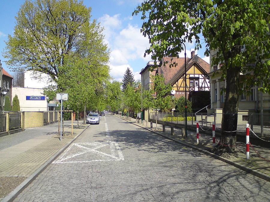 Pasieka, Powstańców Śl