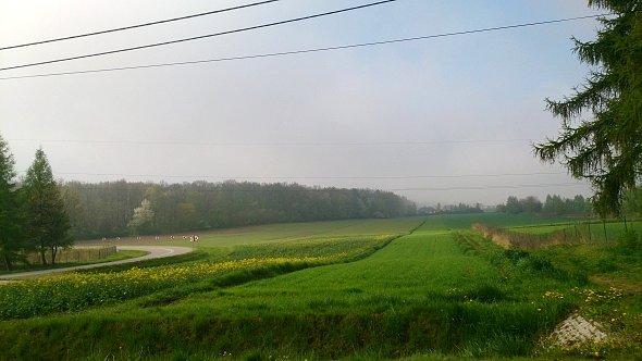 Pola w Krępcu