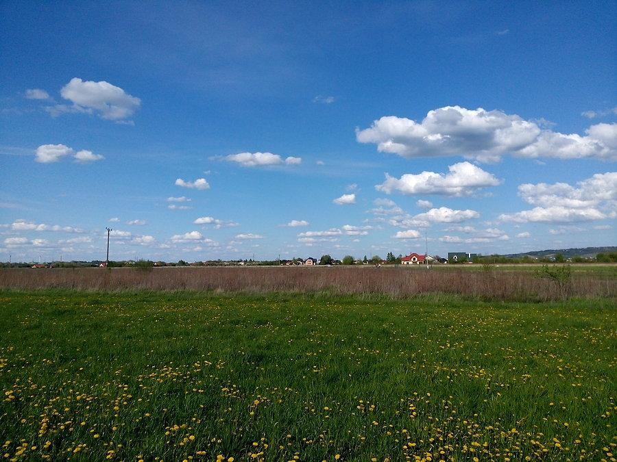Budziwuj łąki nad Wisłokiem