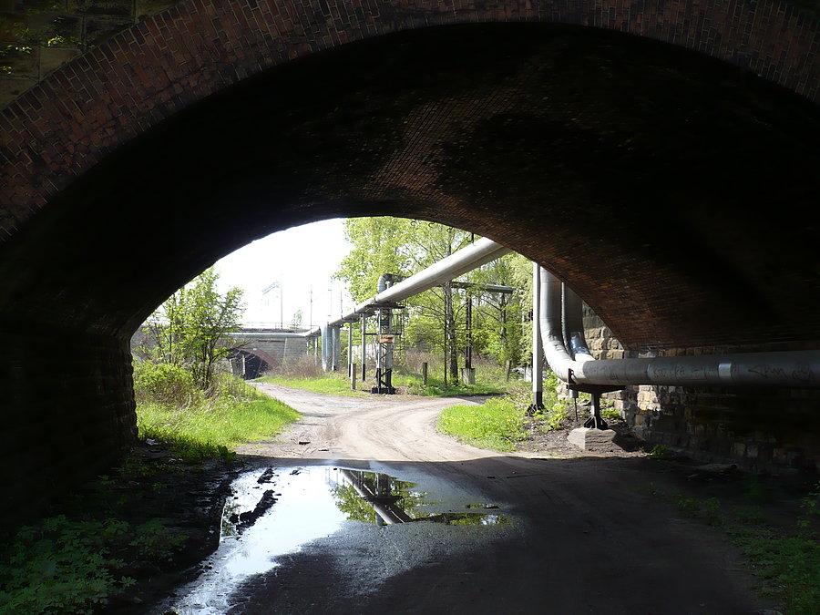 Klimatycznie