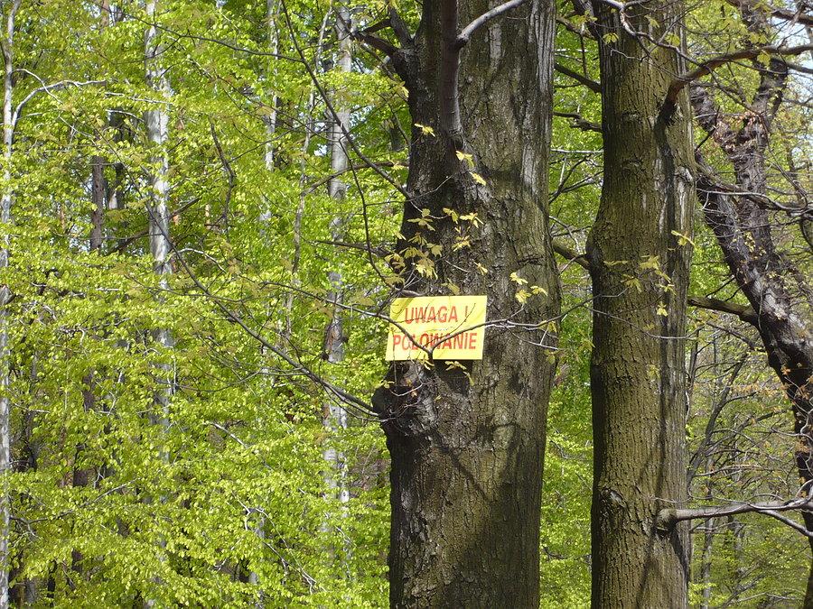 Właśnie stamtąd wyjechaliśmy