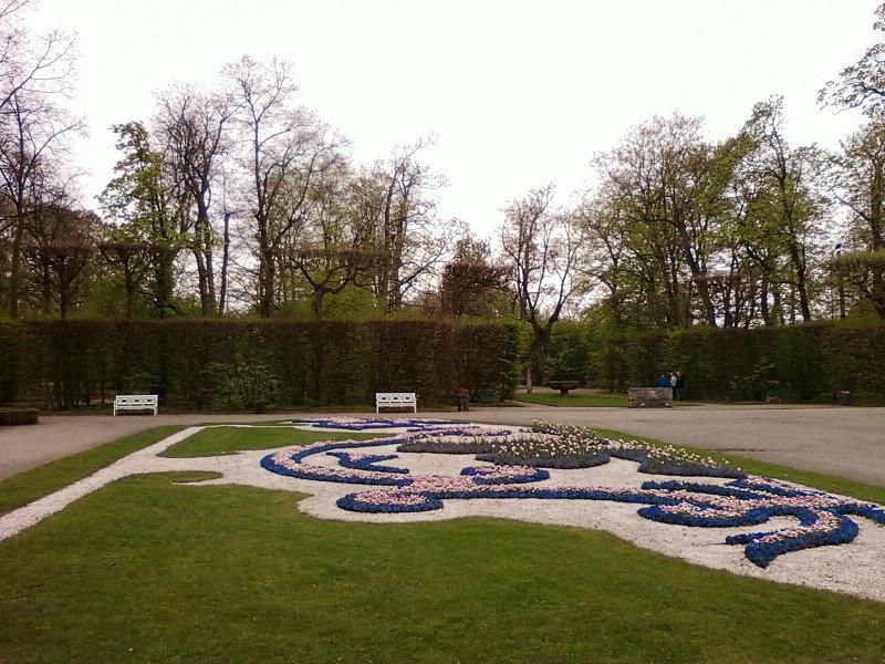 Kompozycje kwiatowe