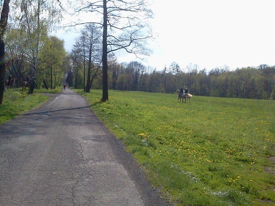 Ropice