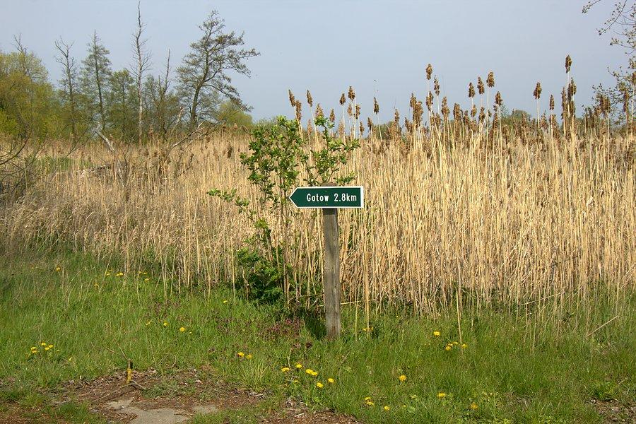 Do Gatow już niedaleko