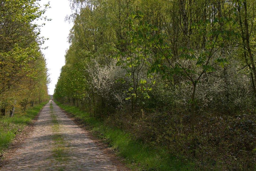 Brukowaną drogą wzdłuż węzła kolejowego