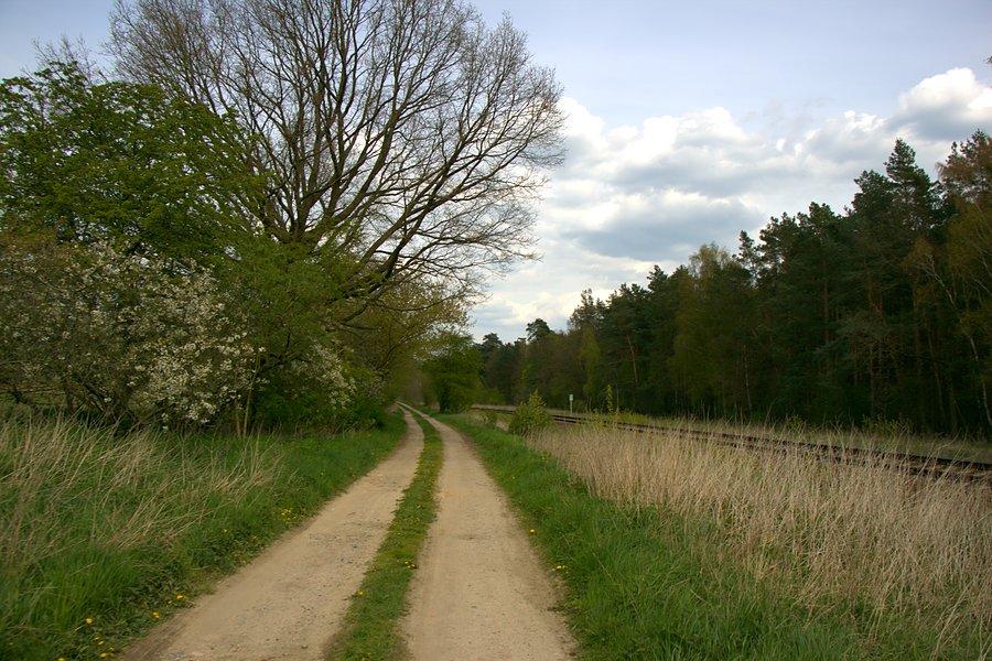 Po powrocie trafiam na właściwą drogę