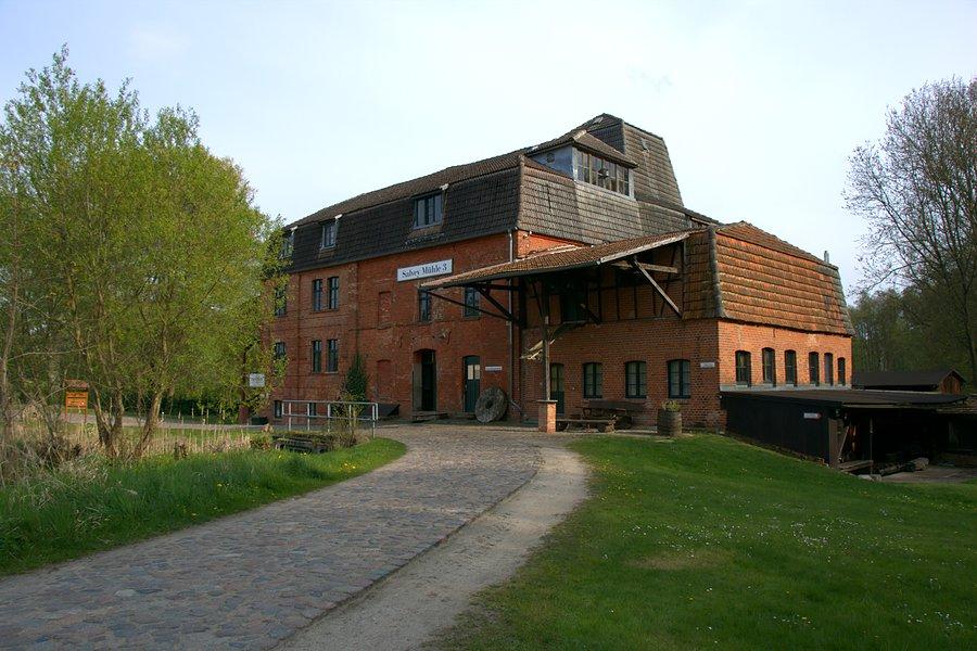 Salveymuhle 3