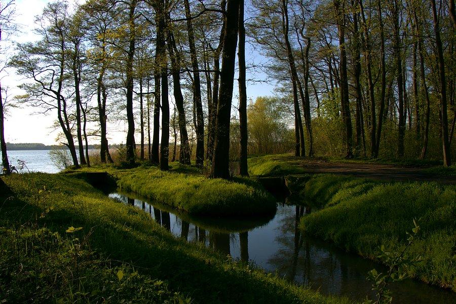 W ulubionym miejscu nad Miedwiem