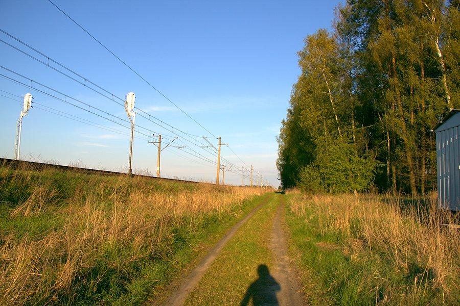 Wzdłuż torów do Grzędzic