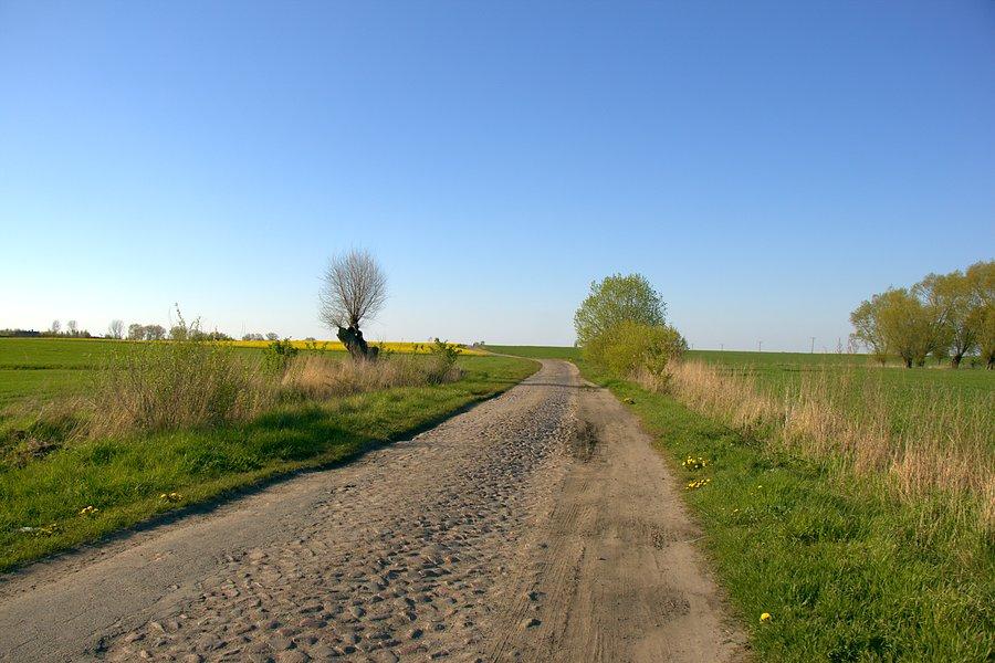 W drodze do Koszewa