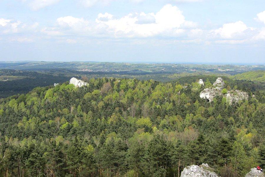 Widok z Góry Zborów II