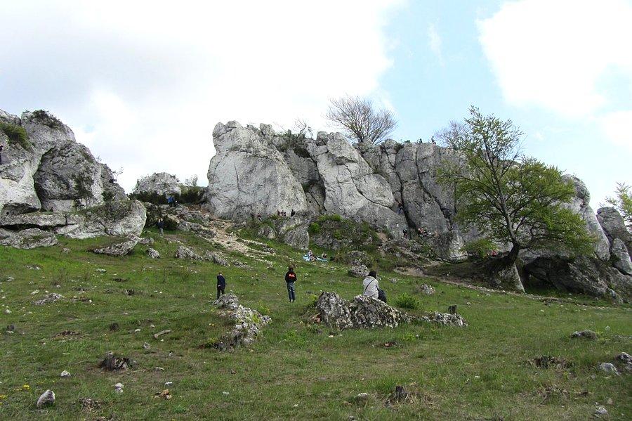 Góra Zborów