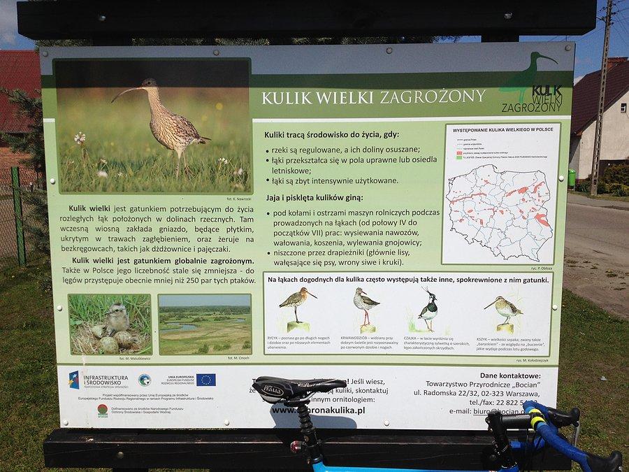 Zbliżenie na tablicę