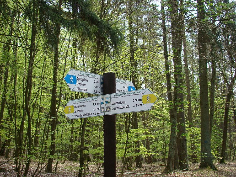 Wytyczone szlaki i drogowskazy ułatwiają wybór dalszej trasy