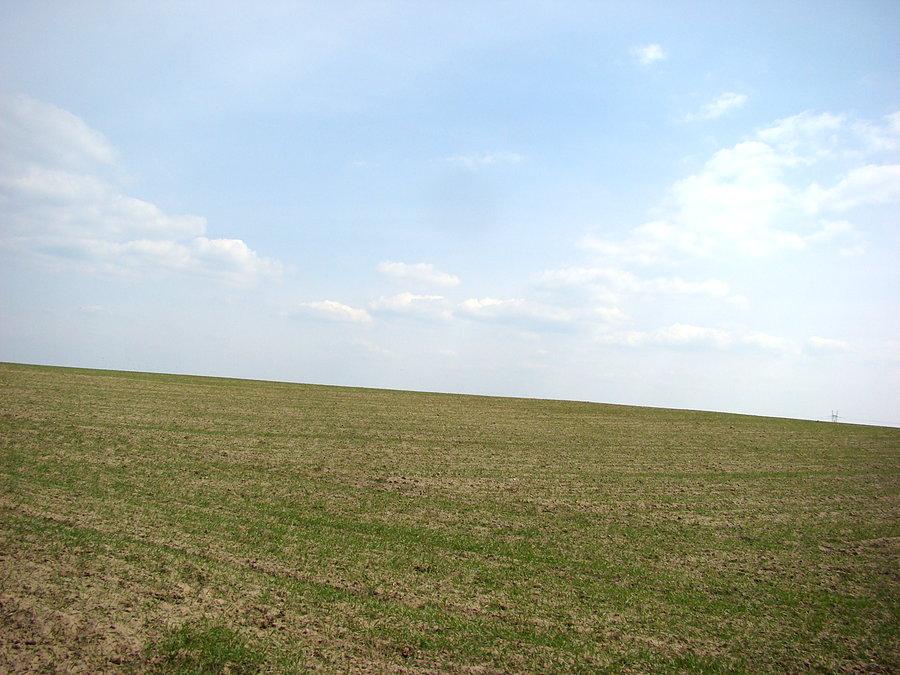 Pola w okolicach Przęsocina