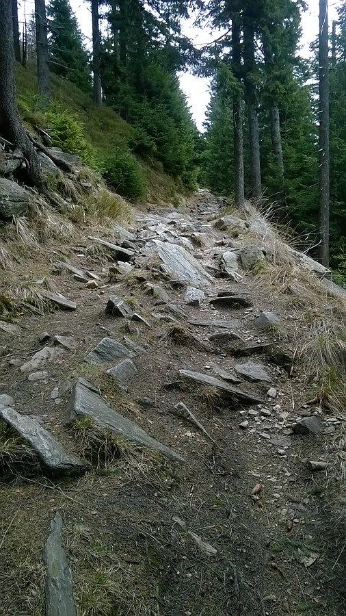 Tędy prowadzi również cyklotrasa