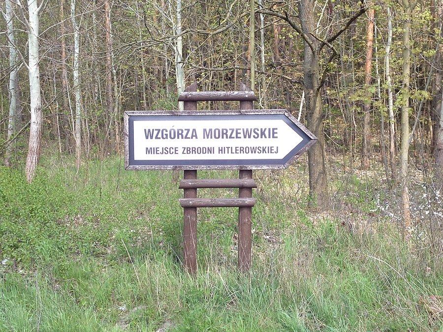 Kierunek Wzgórza Morzewskie